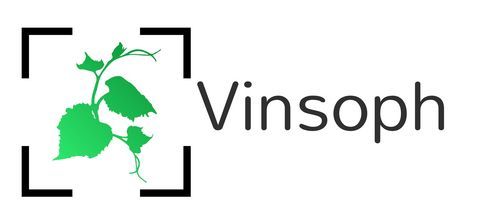 Vinsoph